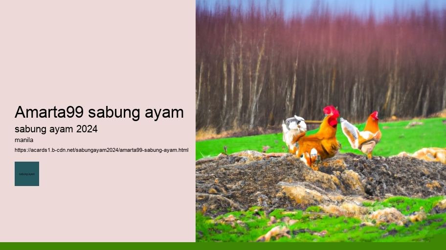 amarta99 sabung ayam