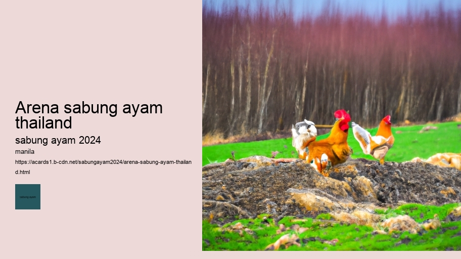 arena sabung ayam thailand