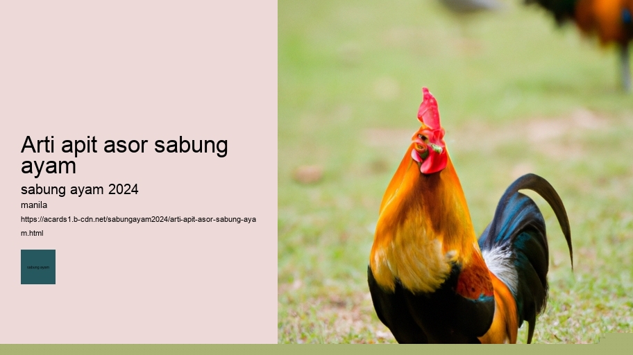 arti apit asor sabung ayam
