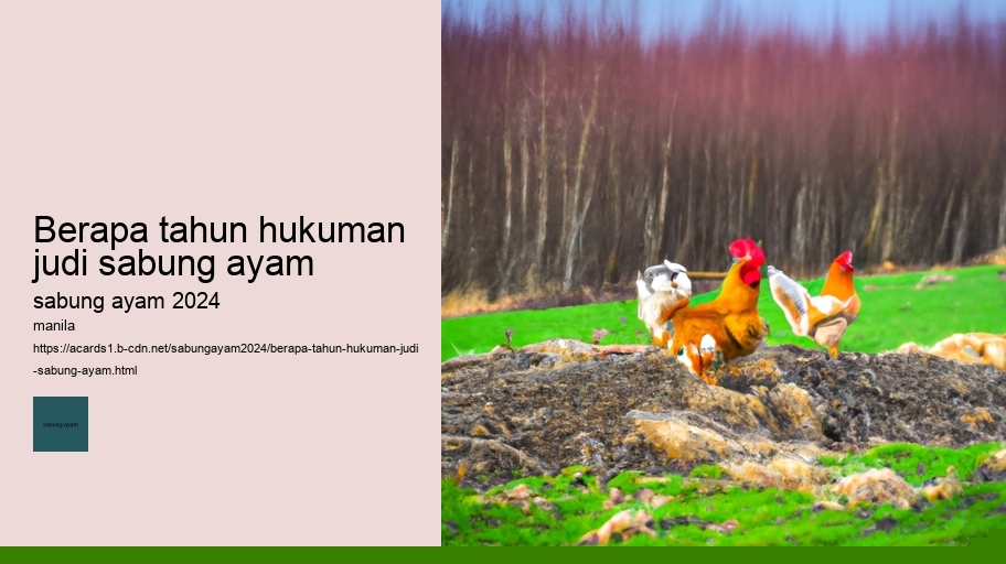 berapa tahun hukuman judi sabung ayam