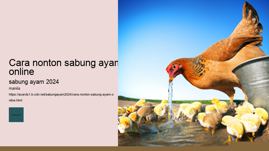 cara nonton sabung ayam online