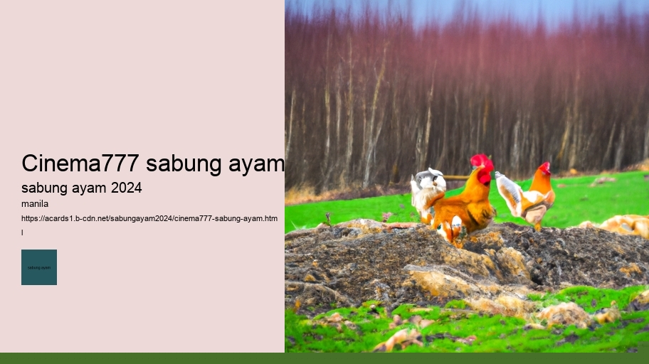 cinema777 sabung ayam