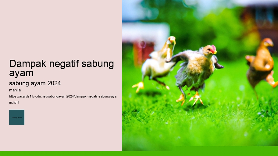 dampak negatif sabung ayam