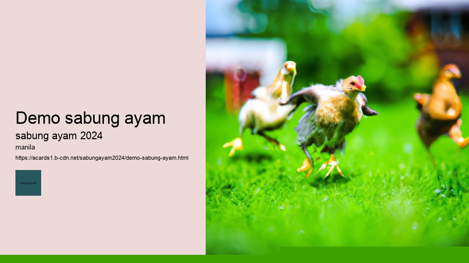 demo sabung ayam