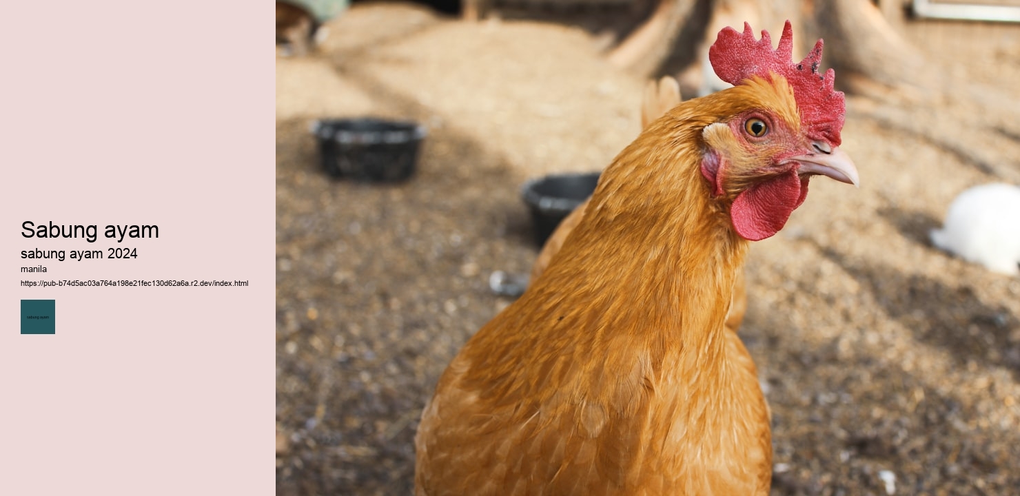 bandar judi sabung ayam online s128