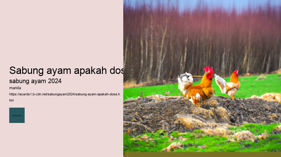 sabung ayam apakah dosa