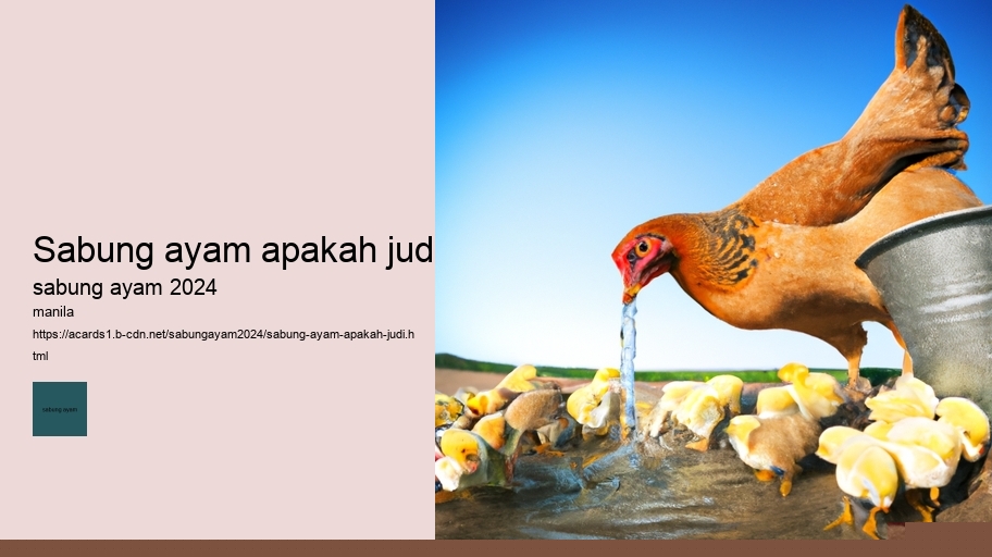 sabung ayam apakah judi