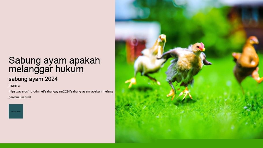 sabung ayam apakah melanggar hukum