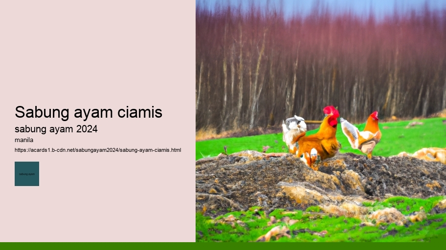 sabung ayam ciamis