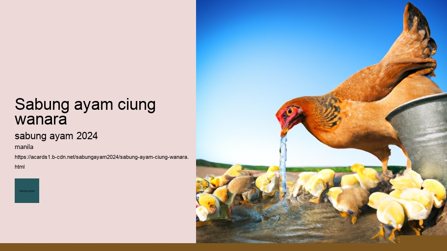 sabung ayam ciung wanara