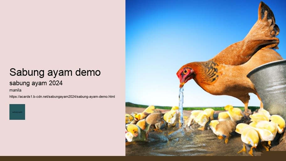 sabung ayam demo
