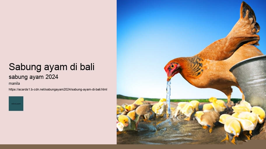 sabung ayam di bali