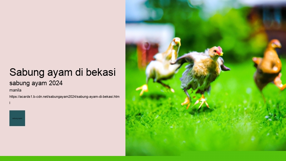 sabung ayam di bekasi