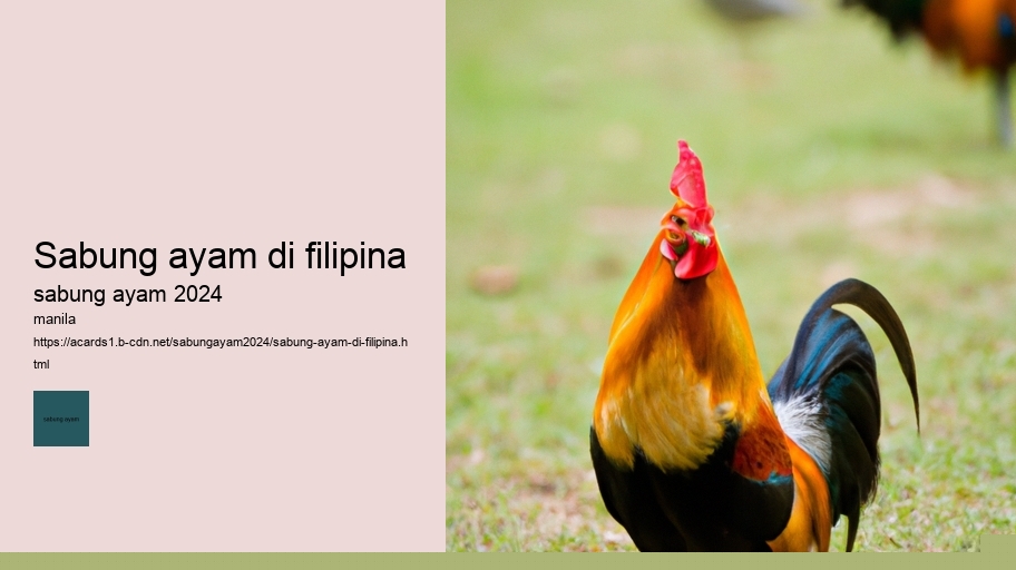 sabung ayam di filipina