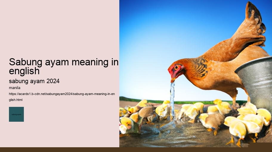 sabung ayam meaning in english