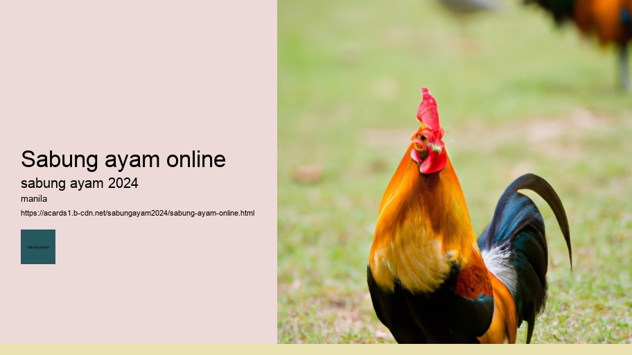 sabung ayam online
